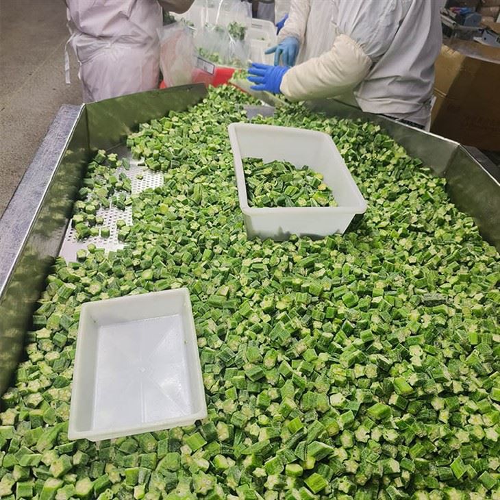 Frozen okra is easy to cook