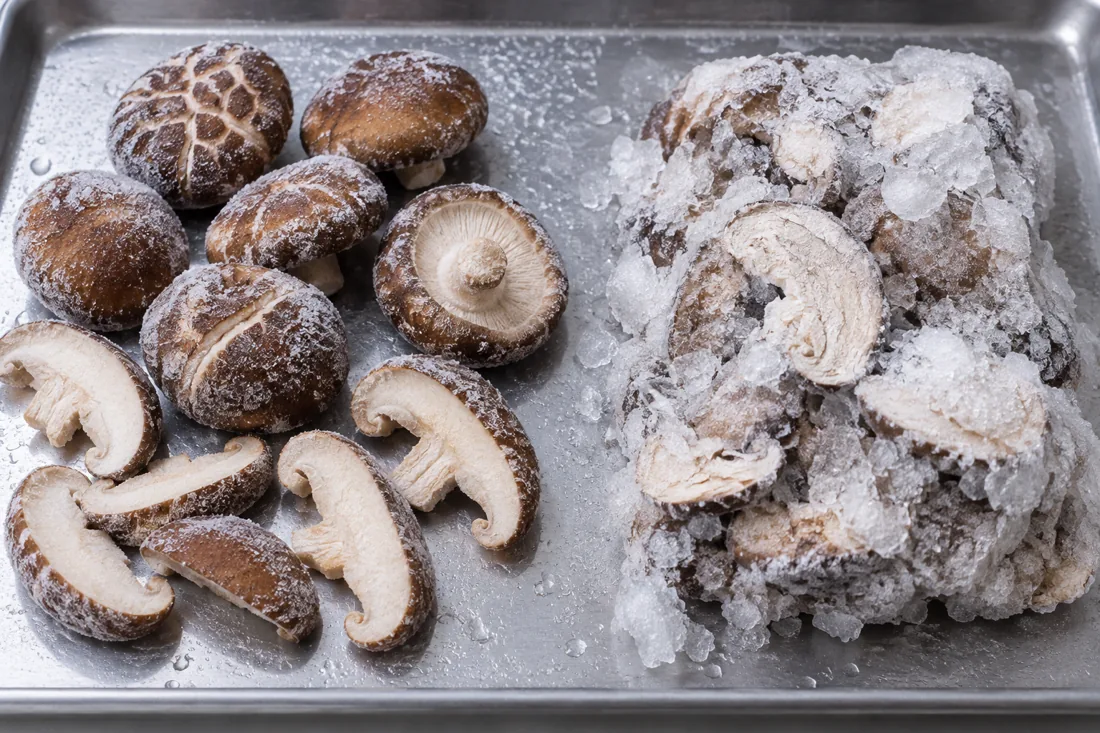 frozen quality comparison: loose frosted mushrooms and a heavily iced clump